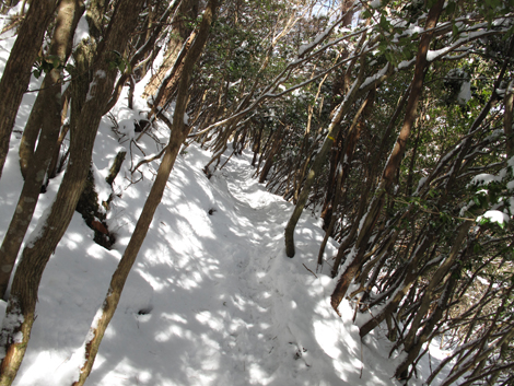 20140211hike (117)